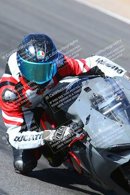 media/Jan-14-2024-SoCal Trackdays (Sun) [[2e55ec21a6]]/Turn 12 Inside (945am)/